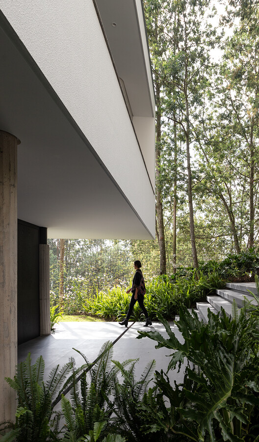 Casa na Floresta /  Gabriel Rivera Arquitectos - Imagem 8 de 29