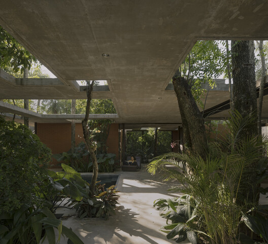 A Forest in the House / Equipo de Arquitectura - Exterior Photography, Wood