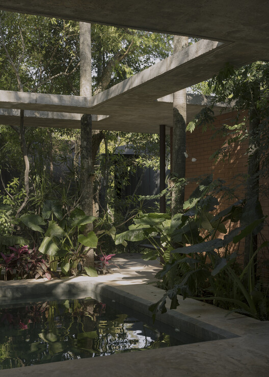 A Forest in the House / Equipo de Arquitectura - Image 9 of 23