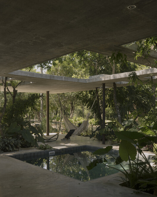 A Forest in the House / Equipo de Arquitectura - Image 13 of 23