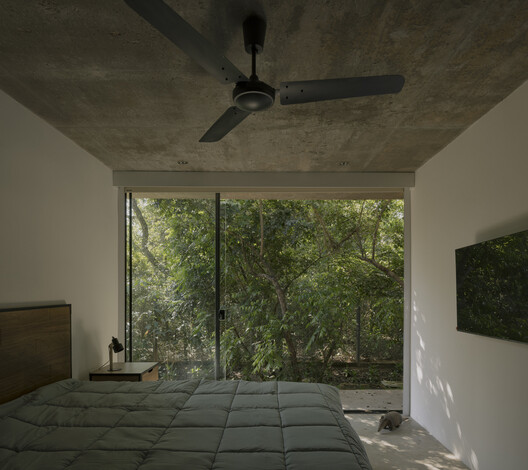 A Forest in the House / Equipo de Arquitectura - Interior Photography