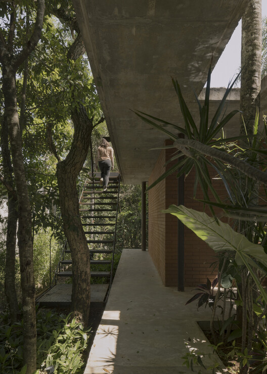 A Forest in the House / Equipo de Arquitectura - Exterior Photography, Wood