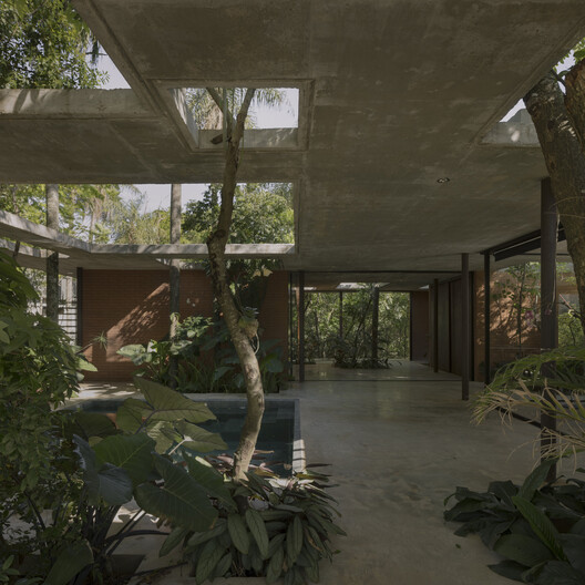 A Forest in the House / Equipo de Arquitectura - Image 7 of 23