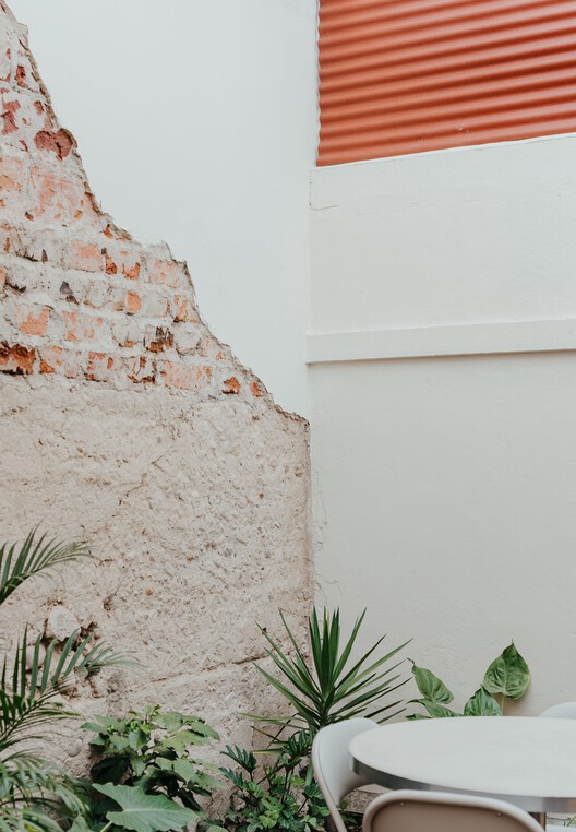 Nola café & cocina / Baral Studio - Fotografía interior