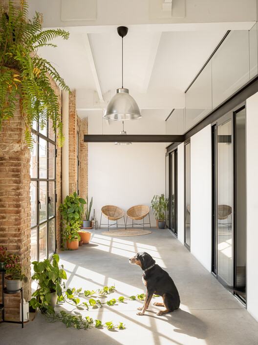 MA6B - Casa Galería / 2.17 ARQUITECTURA - Fotografía interior, Puerta, Sillas