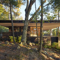 Deep Tones and Natural Roots: 22 Shou Sugi Ban Homes Across the US and Canada - Image 1 of 4