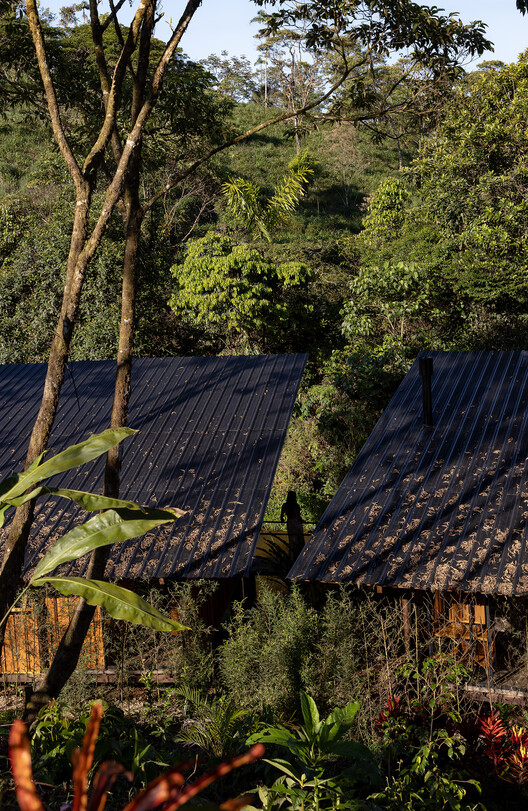 Hoguera de Madera Refuge / Mestizo Estudio Arquitectura - Exterior Photography, Wood, Forest, Garden