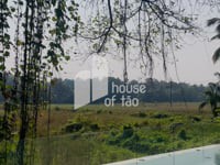 House of Tao / SAV Architecture + Design - Image 20 of 28