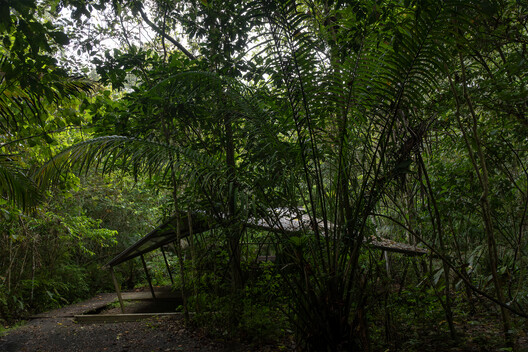 Refuge in the Rainforest - Tour Guide Training Center / Héctor Ayarza + Estudio Garúa Refuge in the Rainforest - Tour Guide Training Center / Héctor Ayarza + Estudio Garúa - Image 6 of 26