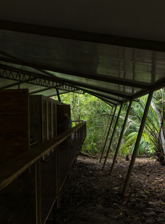 Refuge in the Rainforest - Tour Guide Training Center / Héctor Ayarza + Estudio Garúa Refuge in the Rainforest - Tour Guide Training Center / Héctor Ayarza + Estudio Garúa - Image 12 of 26
