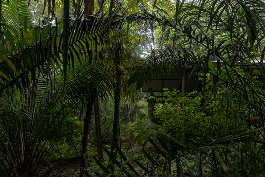 Refuge in the Rainforest - Tour Guide Training Center / Héctor Ayarza + Estudio Garúa Refuge in the Rainforest - Tour Guide Training Center / Héctor Ayarza + Estudio Garúa - Image 11 of 26
