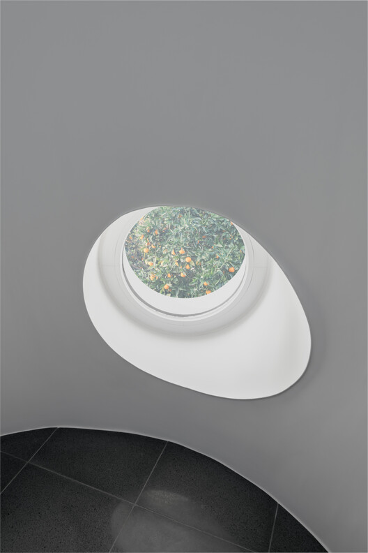 Edifício Belavista à Lapa 76 / ALA.rquitectos - Imagem 27 de 30