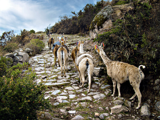 World Monuments Fund Backs 21 Locally Led Heritage Projects Addressing Climate Risks and Indigenous Knowledge Loss - Image 71 of 74