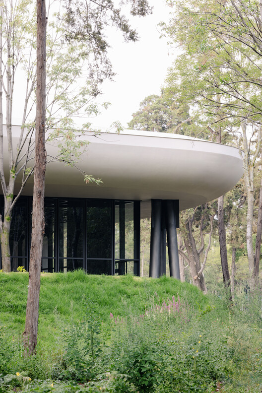 Chapultepec Forest Scenic Garden / Michan Architecture + PARABASE - Image 7 of 24