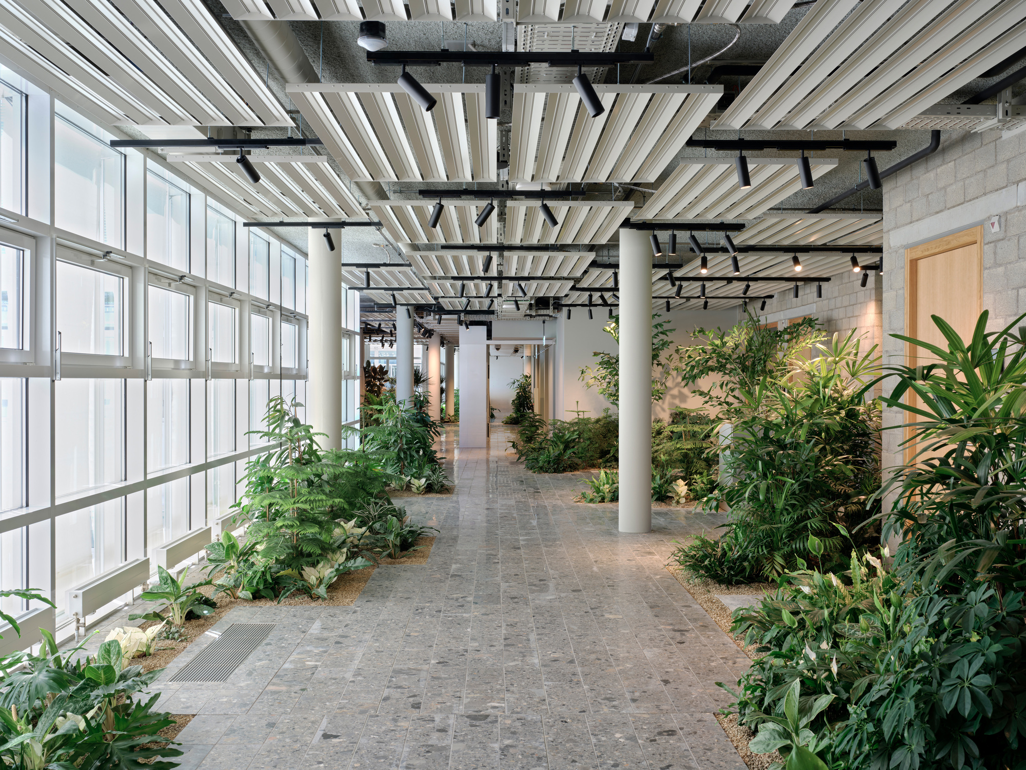 The Future Office - Holcim HQ / Beyond Space + Fritschi Beis Architektur | ArchDaily