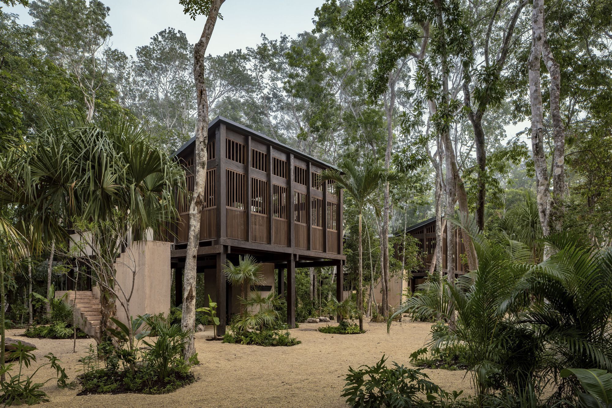 Frida Escobedo and Ma Yansong Among 11 International Architects Named 2026 AIA Honorary Fellows