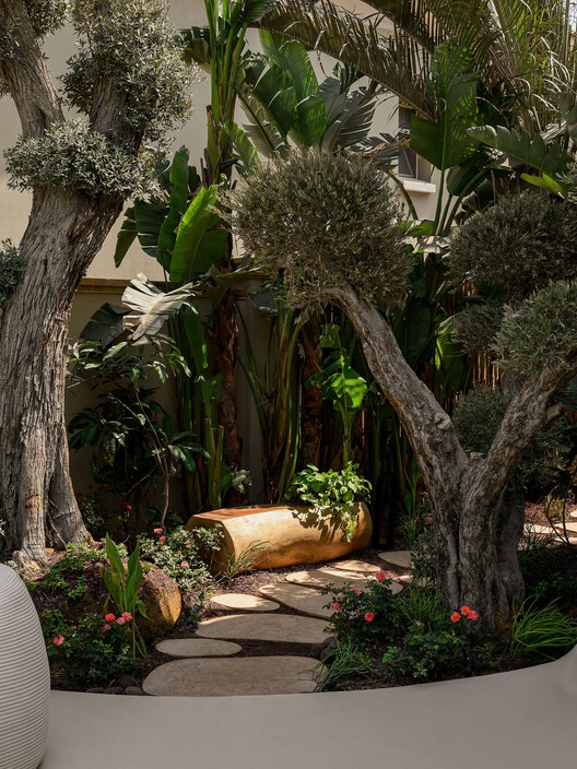 Beit Hawa / Badie Architects - Exterior Photography, Garden, Courtyard