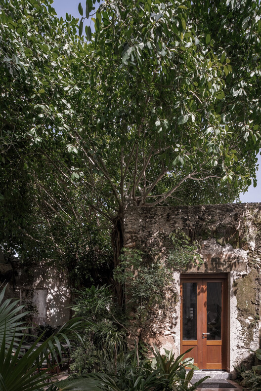 Ariadna / VAGANTES + Esencial Studio - Fotografía exterior, Jardín