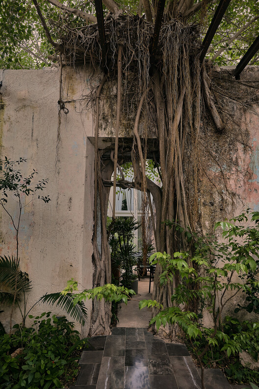 Ariadna / VAGANTES + Esencial Studio - Fotografía exterior, Madera