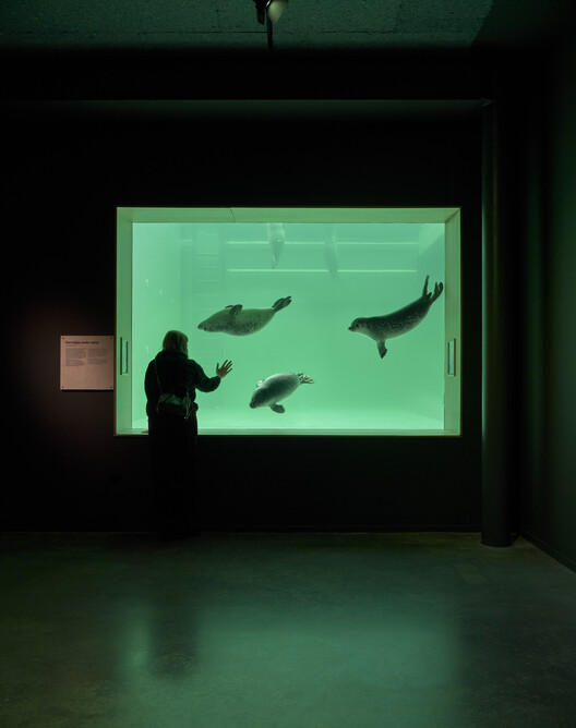 Wadden Sea World Heritage Center / Dorte Mandrup - Interior Photography