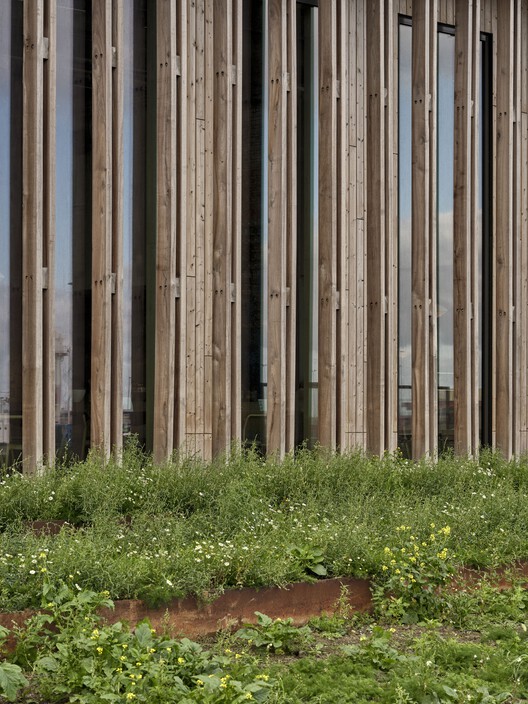 Wadden Sea World Heritage Center / Dorte Mandrup - Exterior Photography, Wood