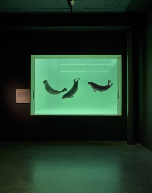 Wadden Sea World Heritage Center / Dorte Mandrup - Interior Photography