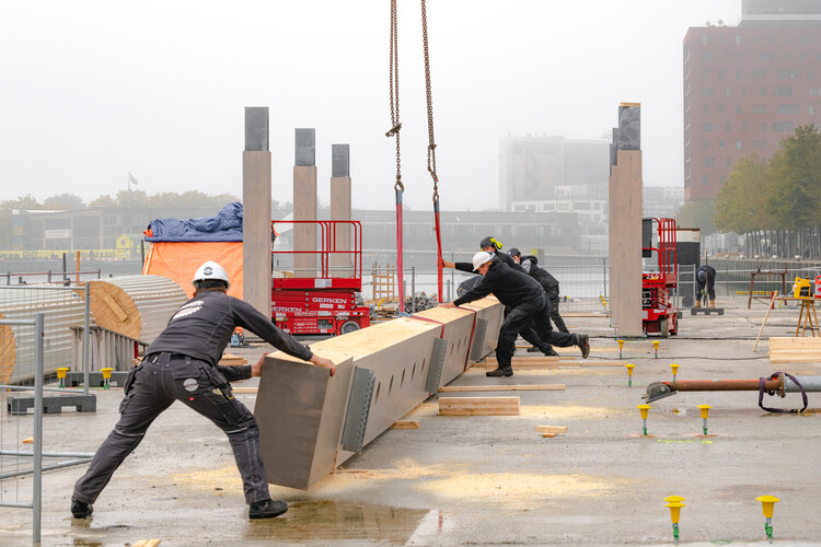 World Day of Social Justice 2026: Labor Rights, Spatial Equity, and Resource Governance - Image 3 of 18