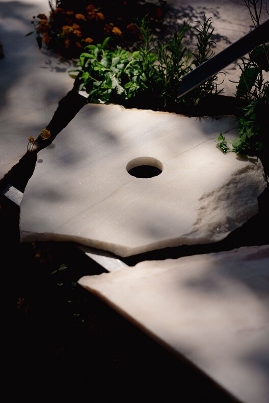 Live Multispecies Kitchen / Fahrenheit Works - Image 14 of 24