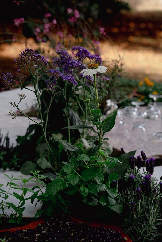 Live Multispecies Kitchen / Fahrenheit Works - Exterior Photography, Garden