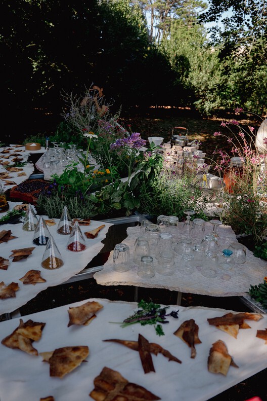 Live Multispecies Kitchen / Fahrenheit Works - Exterior Photography, Garden