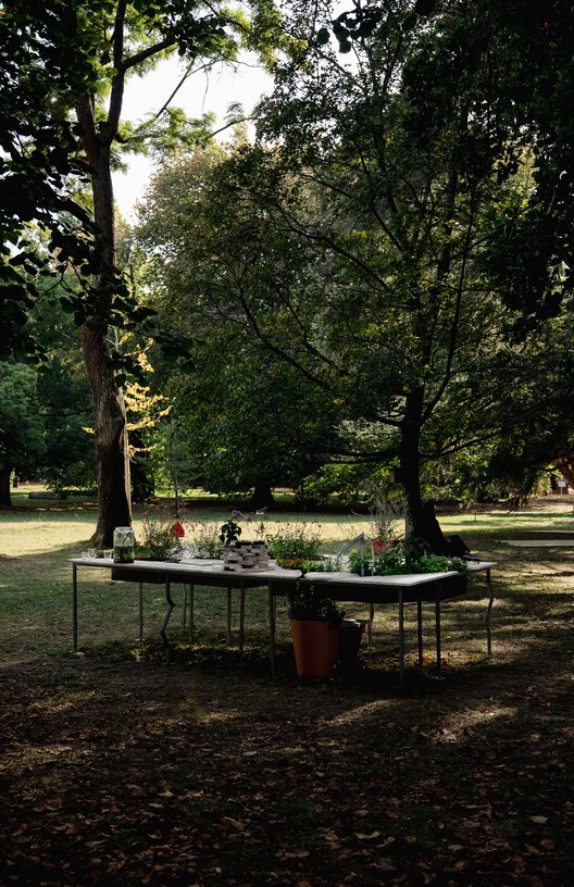 Live Multispecies Kitchen / Fahrenheit Works - Exterior Photography, Wood, Table, Garden, Bench, Chair