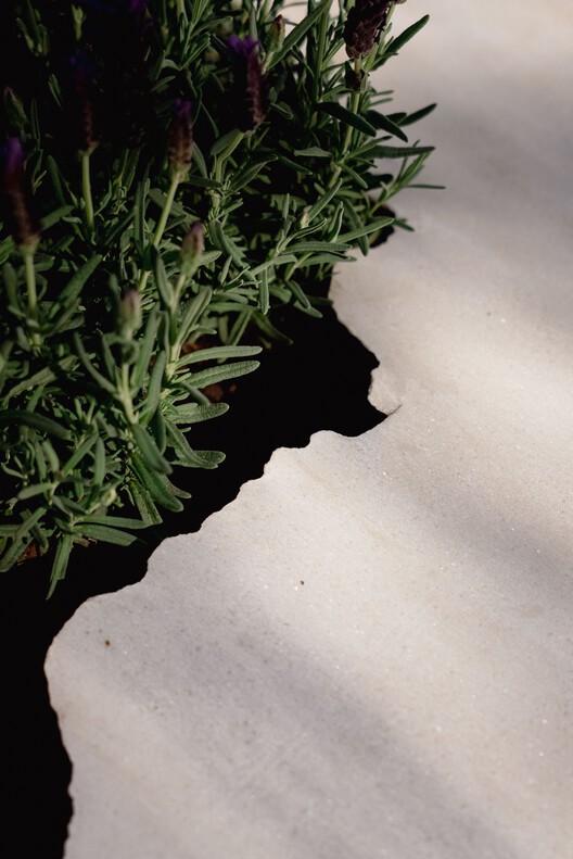 Live Multispecies Kitchen / Fahrenheit Works - Image 13 of 24