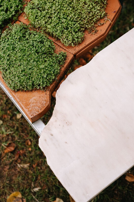 Live Multispecies Kitchen / Fahrenheit Works - Image 5 of 24