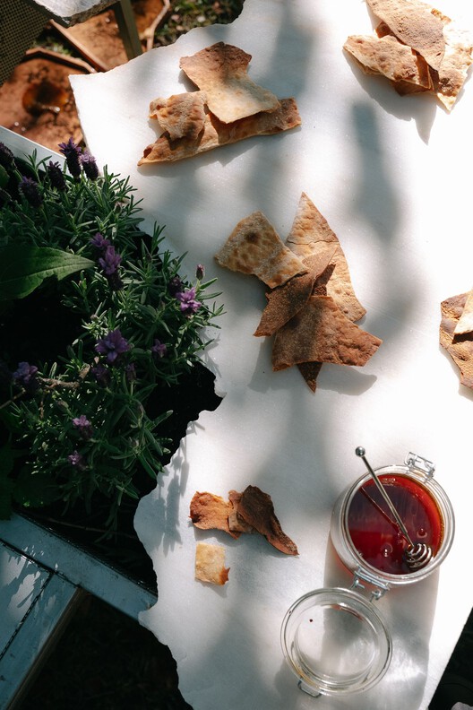 Live Multispecies Kitchen / Fahrenheit Works - Interior Photography