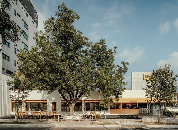 Restaurante Café Maut / ECOH + Mitra - Imagen 2 de 22