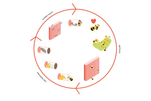 Designing for Coexistence: The Invisible City of Bees Designing for Coexistence: The Invisible City of Bees - Image 9 of 16