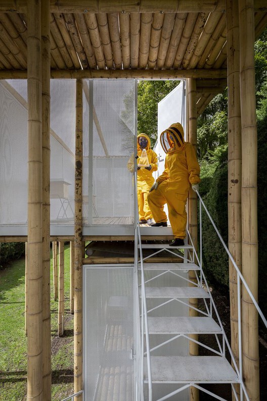 Designing for Coexistence: The Invisible City of Bees Designing for Coexistence: The Invisible City of Bees - Image 6 of 16