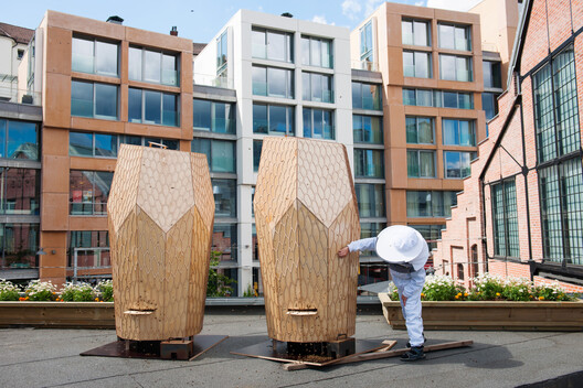 Designing for Coexistence: The Invisible City of Bees Designing for Coexistence: The Invisible City of Bees - Image 14 of 16