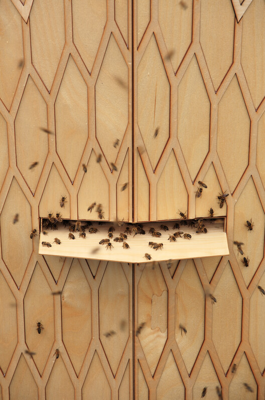 Designing for Coexistence: The Invisible City of Bees Designing for Coexistence: The Invisible City of Bees - Image 16 of 16