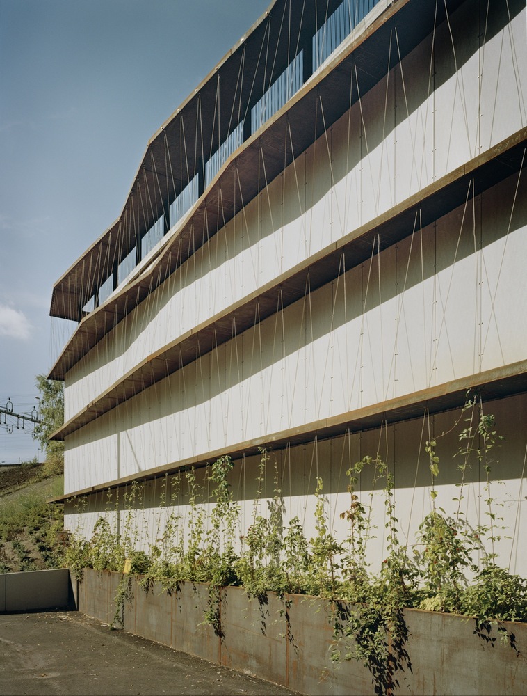 Gallery of How to Design with the Rain: Architectural Strategies for ...