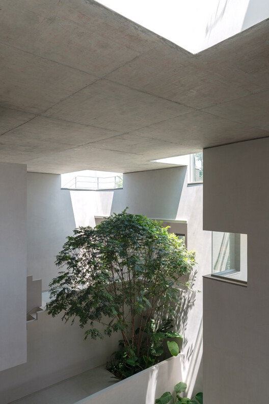 Stepped Well House  / A Threshold - Interior Photography