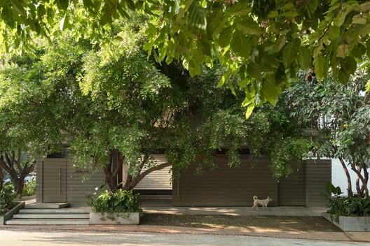 Stepped Well House  / A Threshold - Exterior Photography, Wood, Garden