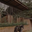 The Centauric Heritage: Equine Scale and Mexican Monumental Architecture - Image 3 of 4