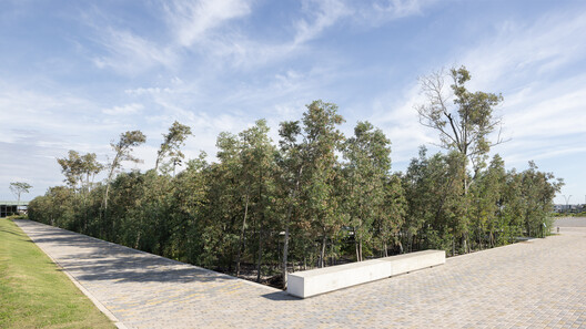 Malba Forest / Estudio Bulla Malba Forest / Estudio Bulla - Image 11 of 19