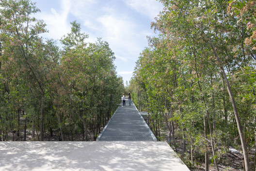 Malba Forest / Estudio Bulla Malba Forest / Estudio Bulla - Exterior Photography