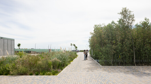 Malba Forest / Estudio Bulla Malba Forest / Estudio Bulla - Image 4 of 19