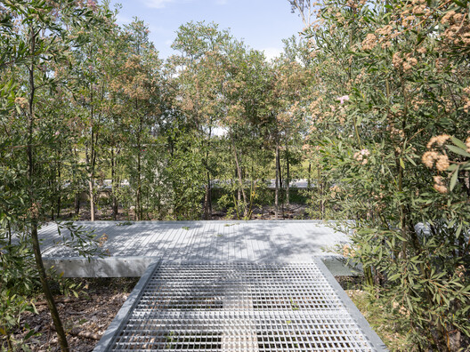Malba Forest / Estudio Bulla Malba Forest / Estudio Bulla - Image 12 of 19
