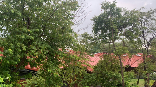 Shiv Nadar School / Vastushilpa Sangath - Image 19 of 34