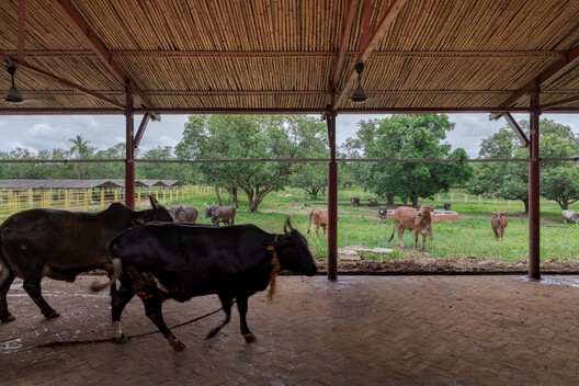 Gaughar Animal Husbandry / Compartment S4 - Interior Photography