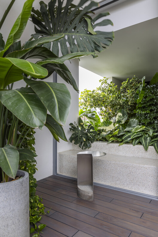 Bống's House / 23o5Studio - Interior Photography, Garden